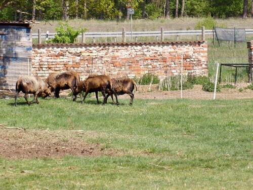 Derzeitige Nutzung - 