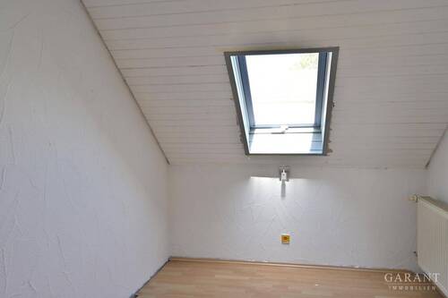 DG Zimmer - 