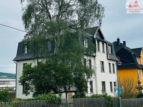 Seitenansicht - 1 Zimmer Mehrfamilienhaus, Wohnhaus zum Kaufen in Lauter-Bernsbach