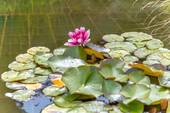 Impressionen - 