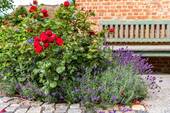 Impressionen - 