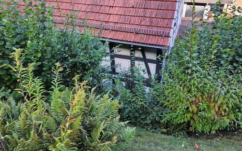 Nebengebäude Rückseite - 