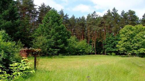 BILD3 - 4 Zimmer Etagenwohnung in Schorfheide