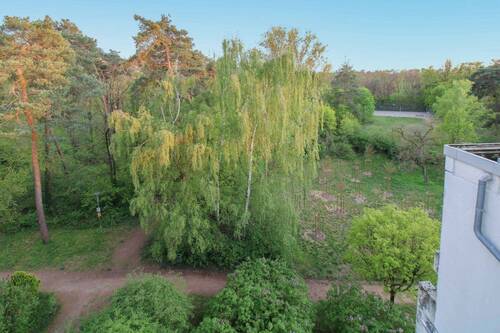 Aussicht Dachterrasse - 