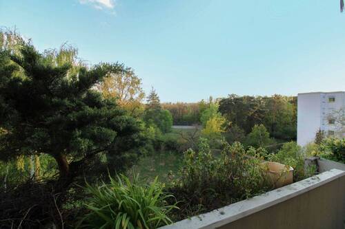 Aussicht Balkon - 3 Zimmer Einfamilienhaus zum Kaufen in Darmstadt