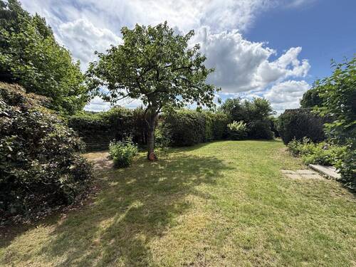 24361 LooseImmo Garten - 