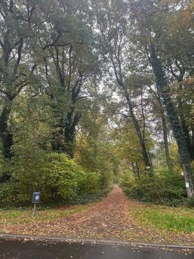 Am alten Friedhof 2, Blick vom Balkon - 