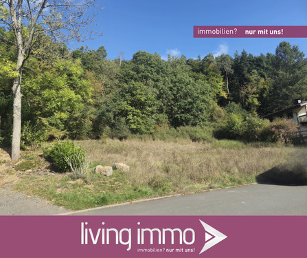 25261_Einortstraße Eckelshausen - Großes Baugrundstück in Eckelshausen mit Baumbestand