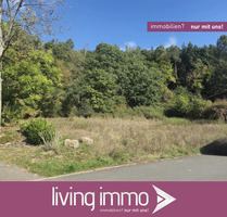 Großes Baugrundstück in Eckelshausen mit Baumbestand - Biedenkopf