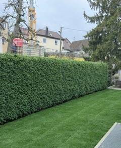 698da209-1190-4e00-884f-2a0325ba7128 - 