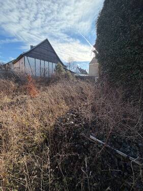 Grundstück ist zugewachsen - 4 Zimmer Bauernhaus, Landhaus in Bad Berka