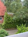 Blick aus dem Küchenfenster - 