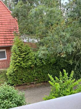 Blick aus dem Küchenfenster - 
