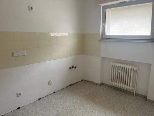 37dd6d10-9db2-4ad5-b1ab-2bfc2fe561f3.jpeg - 