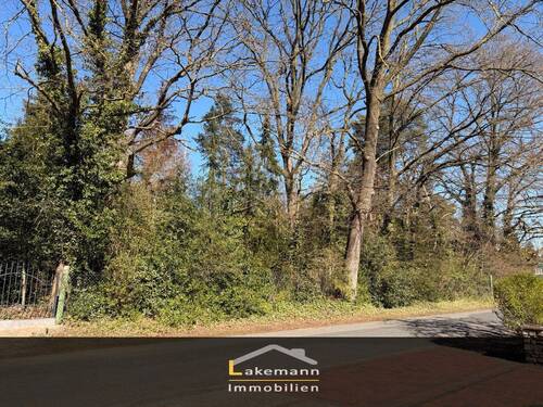 Lakemann-Immobilien - Eystrup: Traumgrundstück in Hanglage – Ruhe, Natur & zentrale Lage vereint