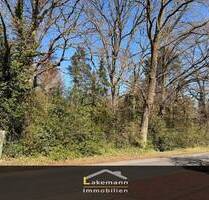 Eystrup: Traumgrundstück in Hanglage – Ruhe, Natur & zentrale Lage vereint