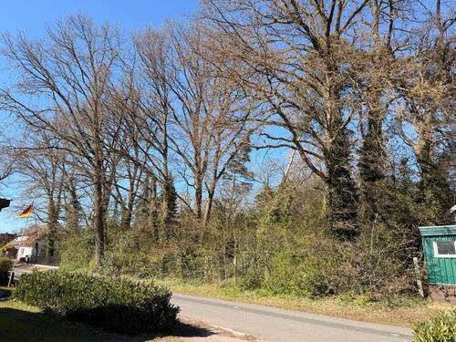 Straßenansicht - Grundstück zum Kaufen in Eystrup