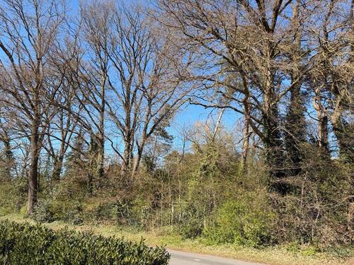 Straßenansicht - Grundstück in Eystrup