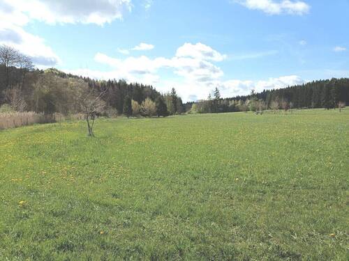 Freizeitgrundstück - 