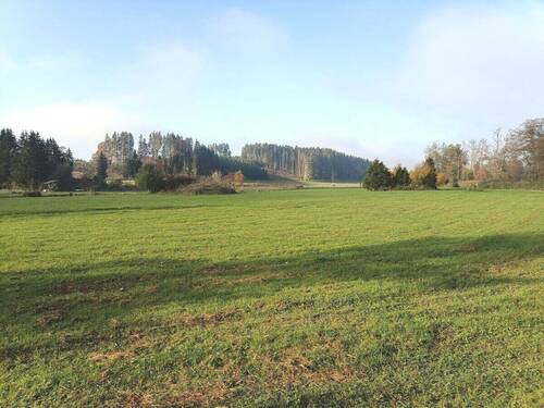 Freizeitgrundstück - 
