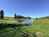 Teich mit Verteilergerinne - 