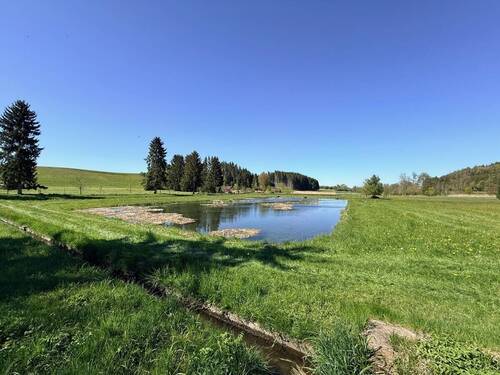 Teich mit Verteilergerinne - 