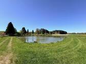 Weiher - 