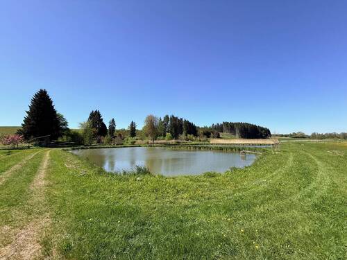 Weiher - 