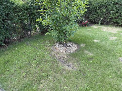 Garten - 