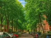 Street - 