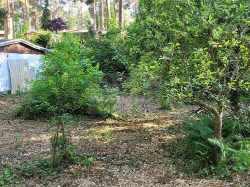 Bebaubares Wochenendgrundstück - Grundstück in Berlin zum Kaufen