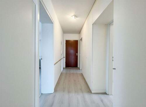 Kochen - Beispiel Renovierung - 