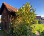 Winzerhütte, Garten, Haus - 8 Zimmer Einfamilienhaus in Stuttgart