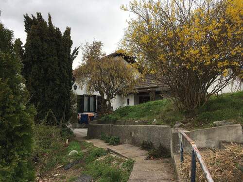 Ost Terrasse Wirtschaftsraum - 