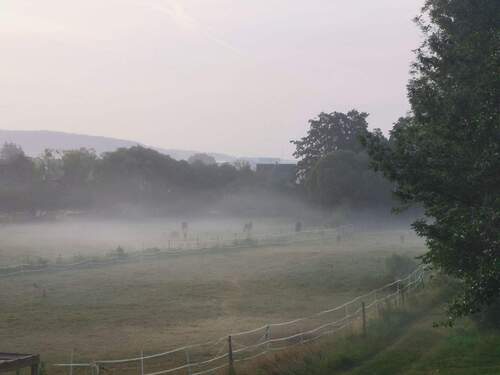 IMG_20230710_060515.jpg - Bauernhaus, Landhaus in Gladenbach