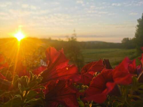 IMG_20230612_055259.jpg - Bauernhaus, Landhaus in Gladenbach zum Kaufen