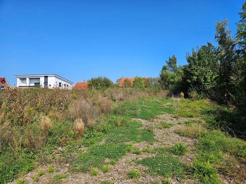 Hess. Oldendorf - 1.jpg - 5 Zimmer Einfamilienhaus zum Kaufen in Hessisch Oldendorf