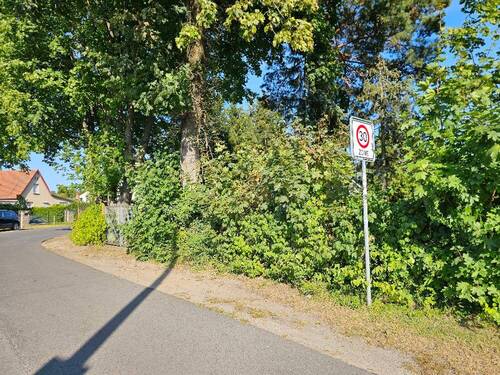 Blick zu Grundstück - Grundstück in Falkensee