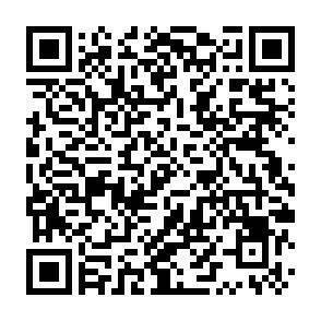 QR-Code - 