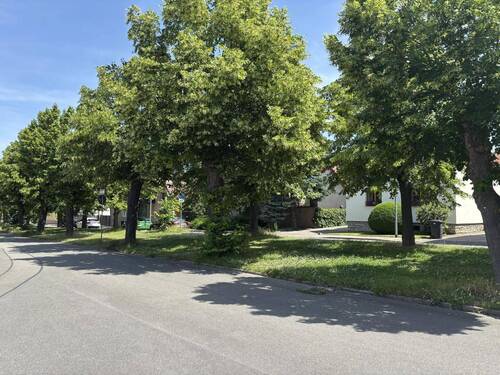 Bild 1 - Ein letztes Plätzchen unterm Melchendorfer Himmel