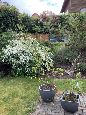 Garten - 5 Zimmer Einfamilienhaus zum Kaufen in Pellingen
