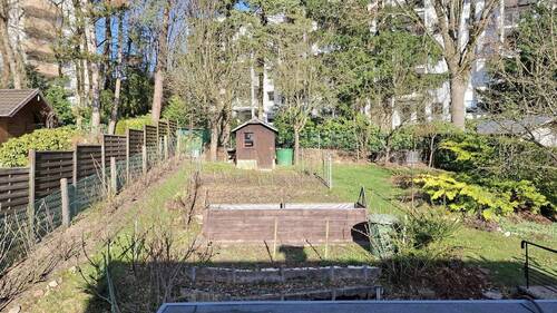 Blick in den Garten - 
