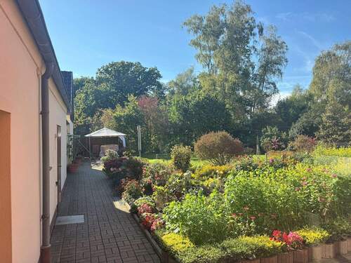 Blick aus der Küche - 