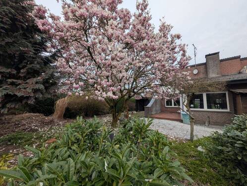 Rückansicht - Reihenendhaus mit 108,00 m&sup2; in Kalkar zum Kaufen