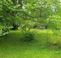 Traumhaftes und weitläufiges Wochenendgrundstück in Erfurt, Steigerwelt