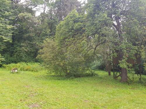 IMG-20250912-WA0014.jpg - Grundstück in Erfurt