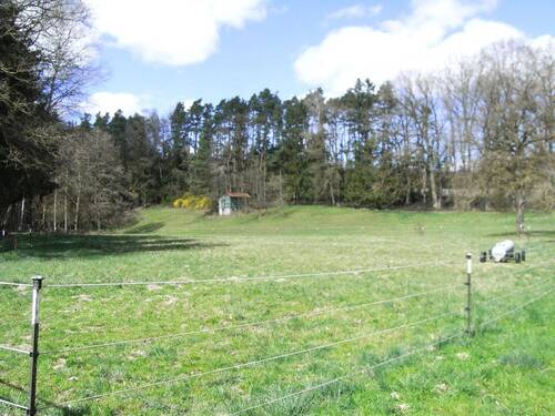 Wiese - 