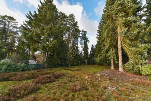 grüne Oase - schattenspendende Bäume & leuchtender Heidepflanzen - 