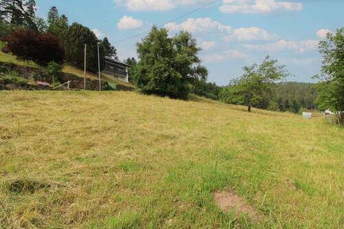 Grundstück rechte Seite Bild 2 - Grundstück in Bad Wildbad