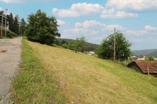 Grundstück rechts - von Straßenseite Bild 1 - Grundstück in Bad Wildbad zum Kaufen